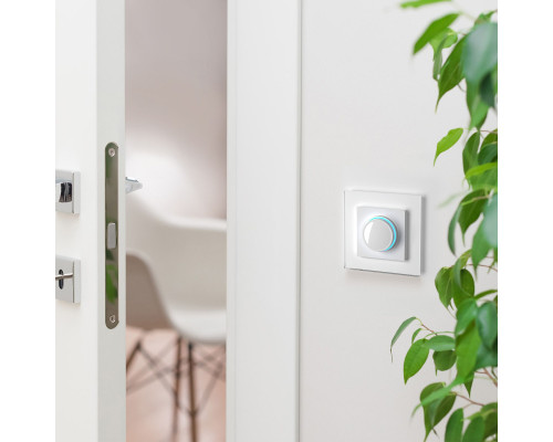 Оформить заказ Диммеры Werkel W1142101| VIVID-LIGHT.RU