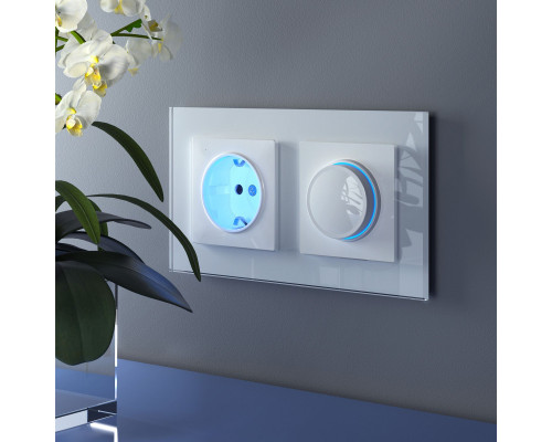 Оформить заказ Диммеры Werkel W1142101| VIVID-LIGHT.RU