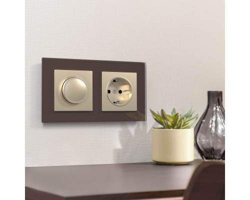 Оформить заказ Диммеры Werkel W1142011| VIVID-LIGHT.RU