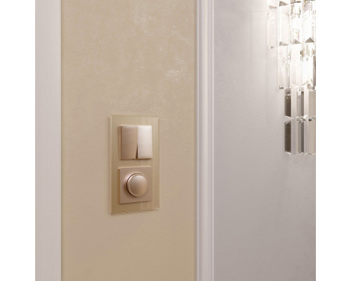 Оформить заказ Диммеры Werkel W1142011| VIVID-LIGHT.RU