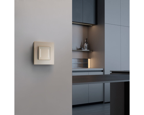 Оформить заказ Рамка Werkel W0013111| VIVID-LIGHT.RU