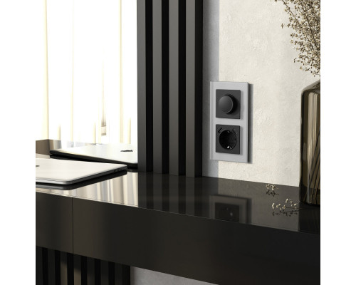 Купить Рамка Werkel W0023106| VIVID-LIGHT.RU