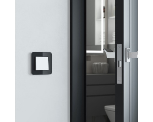 Купить Рамка Werkel W0012448| VIVID-LIGHT.RU