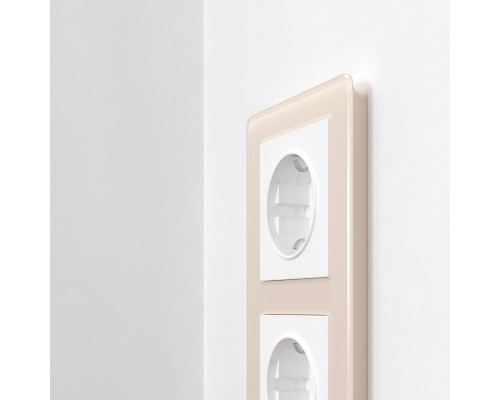 Сделать заказ Рамка Werkel W0022743| VIVID-LIGHT.RU