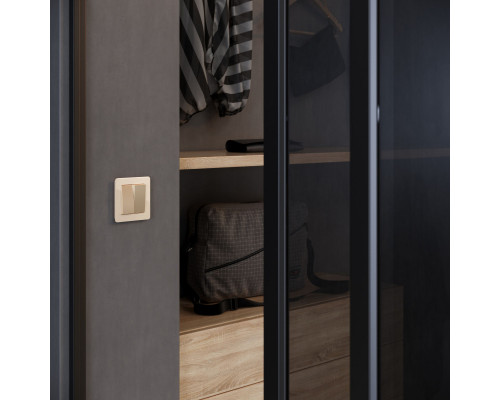 Заказать Рамка Werkel W0012743| VIVID-LIGHT.RU