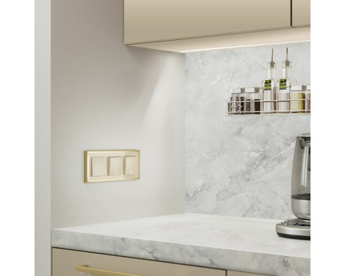 Заказать Рамка Werkel W0032851| VIVID-LIGHT.RU