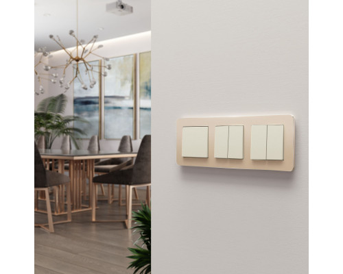 Оформить заказ Рамка Werkel W0032611| VIVID-LIGHT.RU