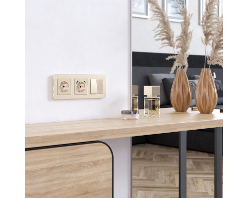 Оформить заказ Рамка Werkel W0032611| VIVID-LIGHT.RU