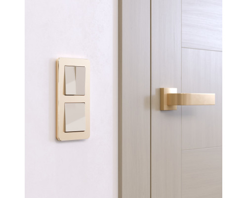 Заказать Рамка Werkel W0022611| VIVID-LIGHT.RU