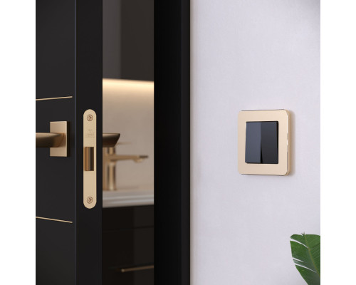 Оформить заказ Рамка Werkel W0012611| VIVID-LIGHT.RU