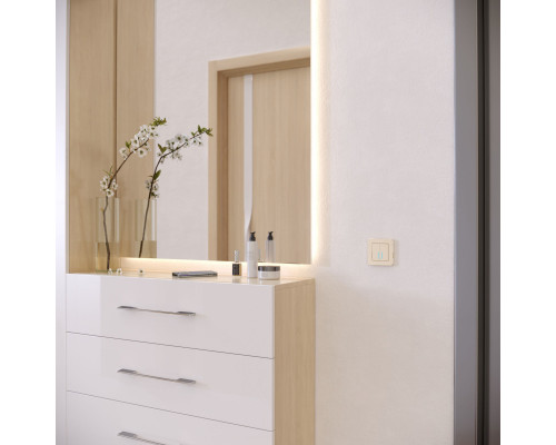 Оформить заказ Рамка Werkel W0012611| VIVID-LIGHT.RU