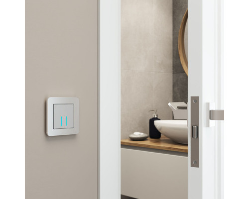 Оформить заказ Рамка Werkel W0012606| VIVID-LIGHT.RU