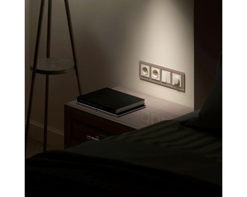 Сделать заказ Рамка Werkel W0041142| VIVID-LIGHT.RU