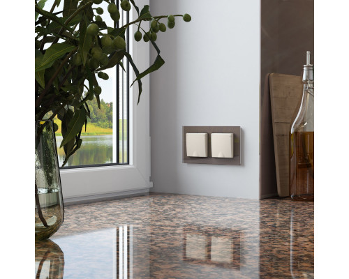 Сделать заказ Рамка Werkel W0021142| VIVID-LIGHT.RU