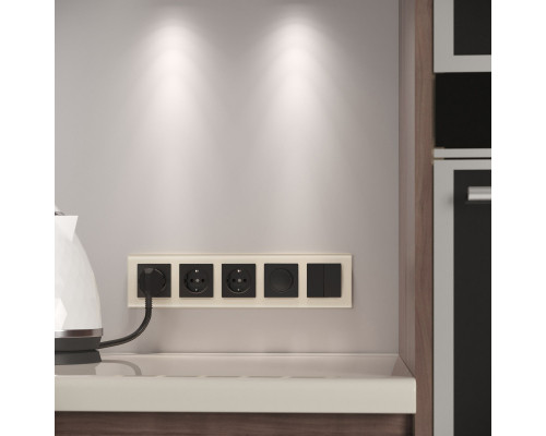 Купить Рамка Werkel W0051141| VIVID-LIGHT.RU