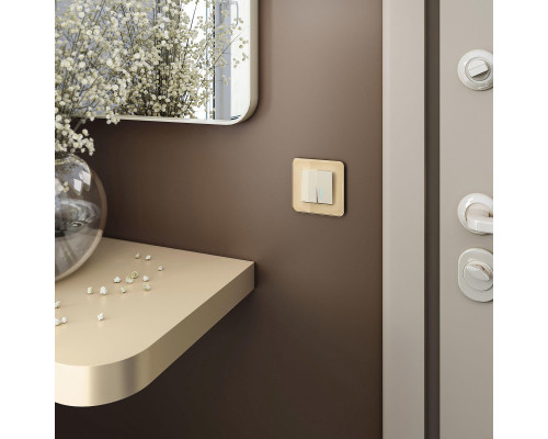 Сделать заказ Рамка Werkel W0012443| VIVID-LIGHT.RU