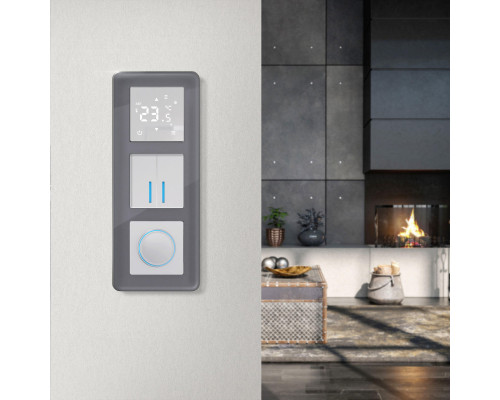 Сделать заказ Рамка Werkel W0032440| VIVID-LIGHT.RU