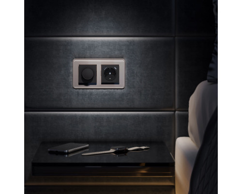 Сделать заказ Рамка Werkel W0022417| VIVID-LIGHT.RU