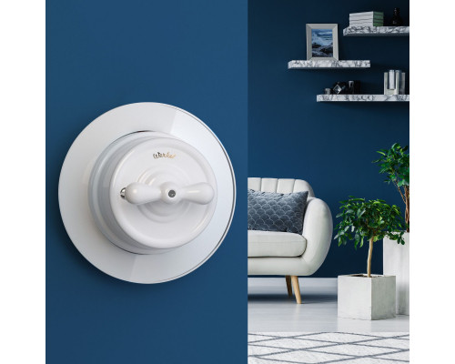 Сделать заказ Рамка Werkel W0015101| VIVID-LIGHT.RU