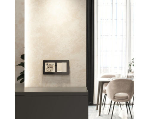 Купить Розетка Werkel W1171743| VIVID-LIGHT.RU