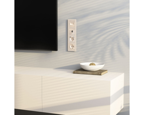 Оформить заказ Розетка Werkel W1183043| VIVID-LIGHT.RU