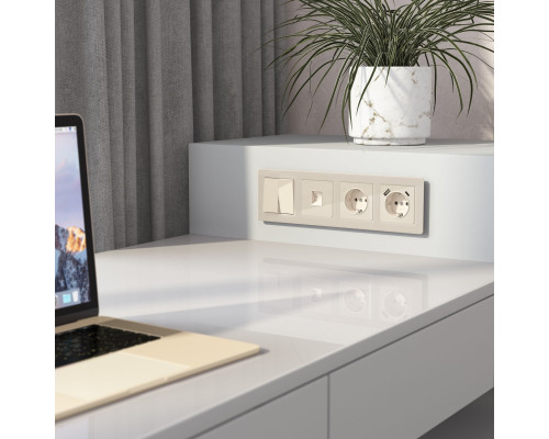 Купить Розетка Werkel W1181043| VIVID-LIGHT.RU