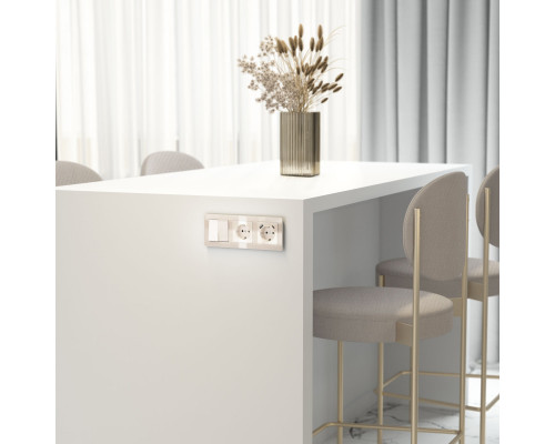 Сделать заказ Розетка Werkel W1171143| VIVID-LIGHT.RU