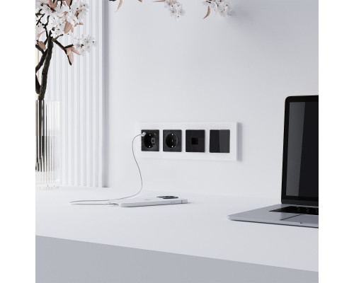 Купить Розетка Werkel W1181048| VIVID-LIGHT.RU