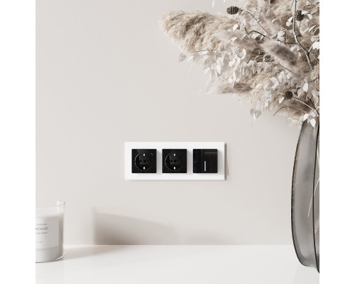 Сделать заказ Розетка Werkel W1171748| VIVID-LIGHT.RU