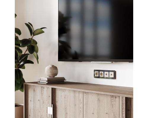 Заказать Розетка Werkel W1171562| VIVID-LIGHT.RU