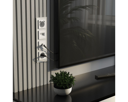 Купить Розетка Werkel W1181161| VIVID-LIGHT.RU