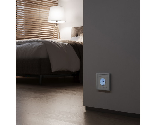 Заказать Розетка Werkel W1171461| VIVID-LIGHT.RU