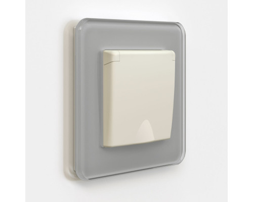 Оформить заказ Розетка Werkel W1171262| VIVID-LIGHT.RU