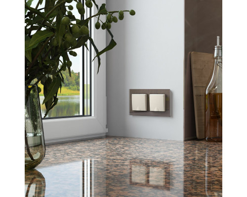 Оформить заказ Розетка Werkel W1171262| VIVID-LIGHT.RU