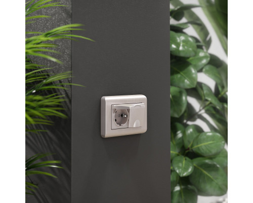 Сделать заказ Розетка Werkel W1172213| VIVID-LIGHT.RU