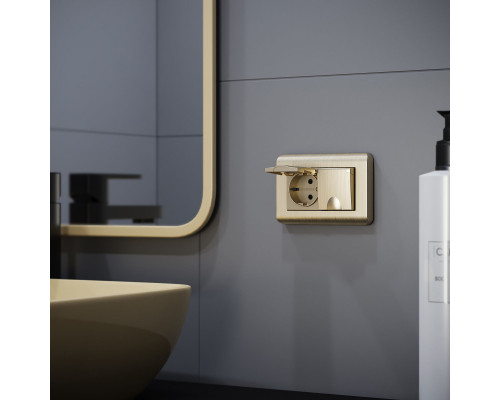 Заказать Розетка Werkel W1172210| VIVID-LIGHT.RU