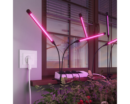 Оформить заказ Розетка Werkel W1171601| VIVID-LIGHT.RU