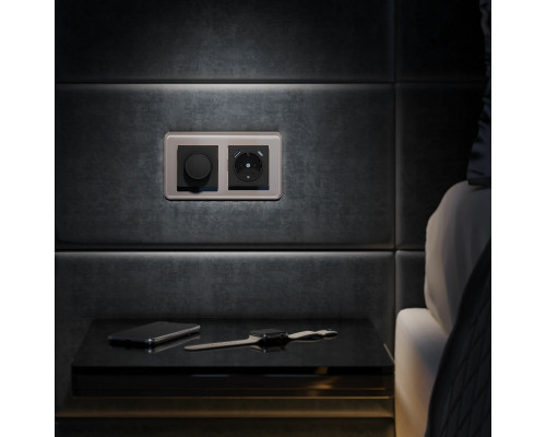 Оформить заказ Розетка Werkel W1171708| VIVID-LIGHT.RU