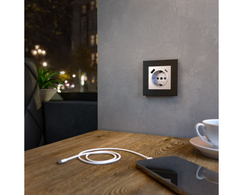 Оформить заказ Розетка Werkel W1171706| VIVID-LIGHT.RU