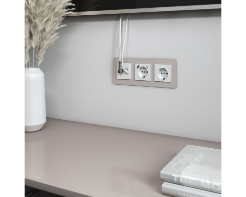 Оформить заказ Розетка Werkel W1181301| VIVID-LIGHT.RU