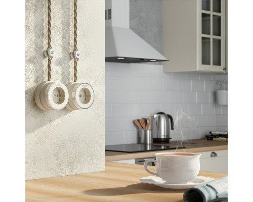 Купить Розетка Werkel W5871055| VIVID-LIGHT.RU