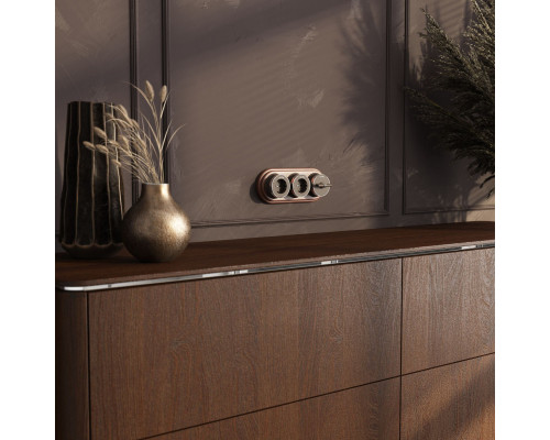 Оформить заказ Розетка Werkel W5871052| VIVID-LIGHT.RU