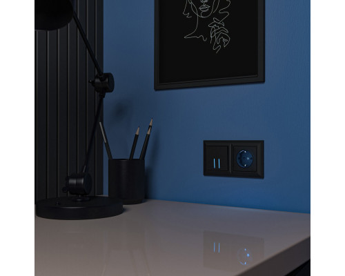 Купить Розетка Werkel W1171408| VIVID-LIGHT.RU