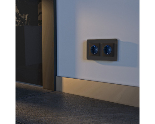 Купить Розетка Werkel W1171408| VIVID-LIGHT.RU