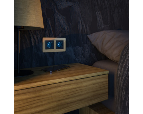 Купить Розетка Werkel W1171408| VIVID-LIGHT.RU