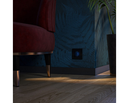 Купить Розетка Werkel W1171408| VIVID-LIGHT.RU