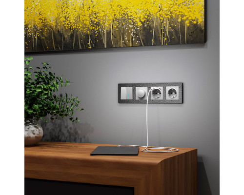 Заказать Розетка Werkel W1171506| VIVID-LIGHT.RU