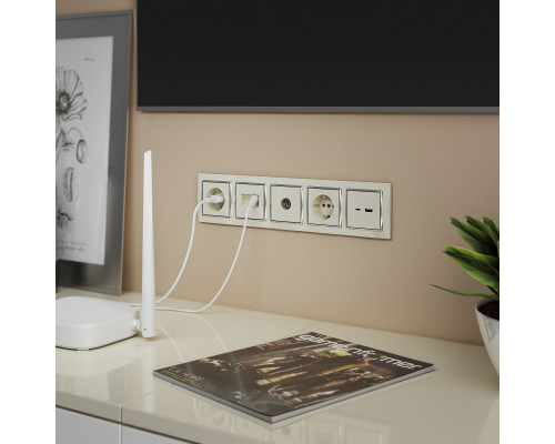 Купить Розетка Werkel W1181103| VIVID-LIGHT.RU