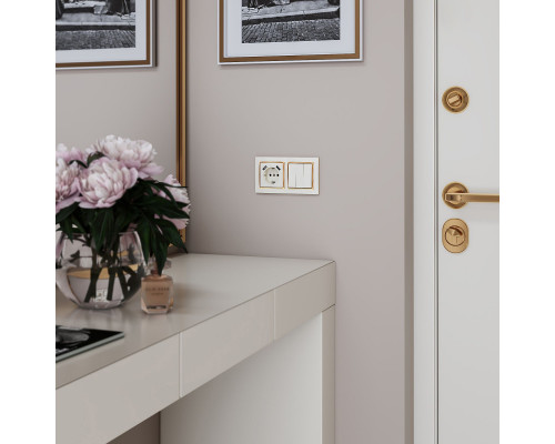 Заказать Розетка Werkel W1171503| VIVID-LIGHT.RU