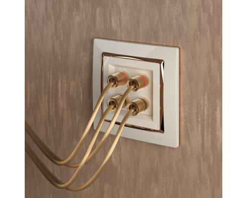 Оформить заказ Розетка Werkel W1185003| VIVID-LIGHT.RU